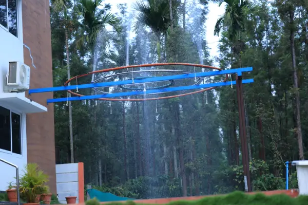 Rain Dance